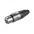 516a64a2a2d491cfee0d070878257827.png