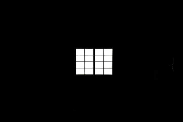08_117077.png