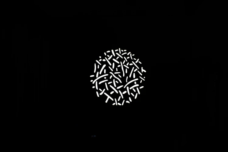 11_117077.png