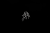 05_117078.png