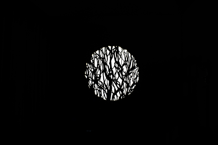 09_117078.png