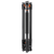c5a08142be570badfbbd7a6f30b8594c.png