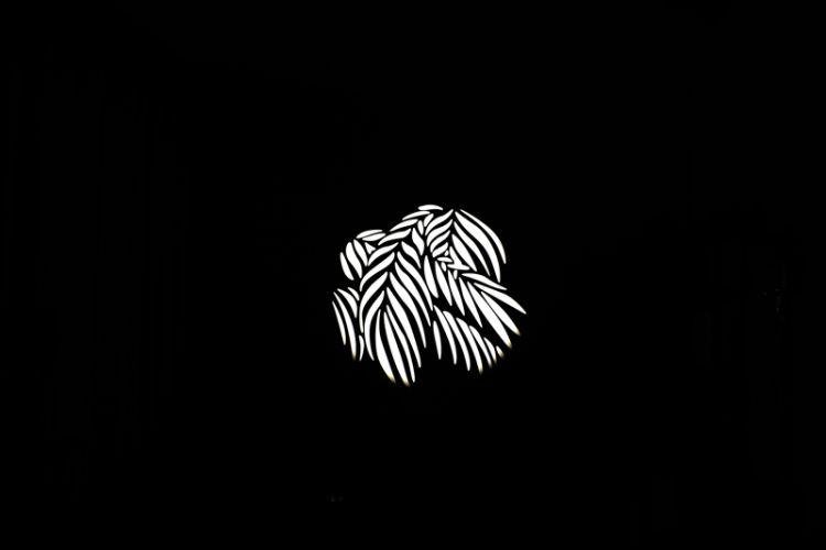 10_117078.png