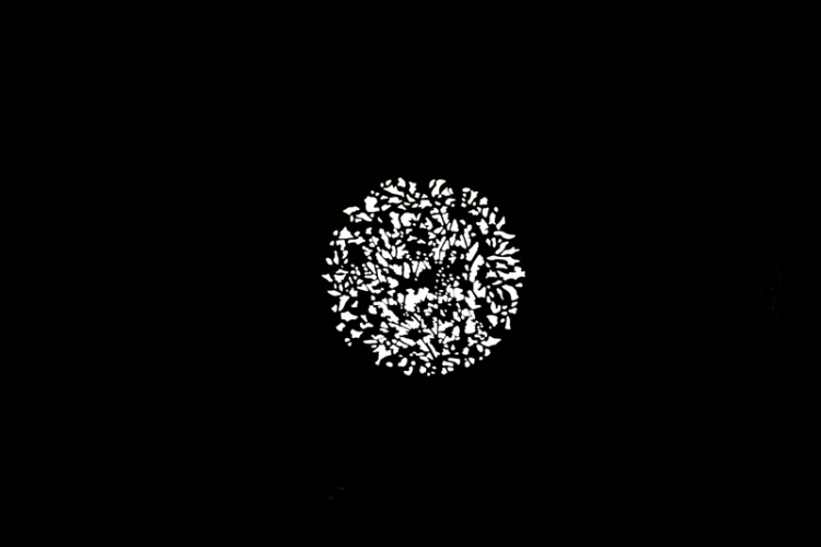 11_117078.png