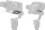 5ead0975da2ab0cf7002fa6e75db7ca9.png