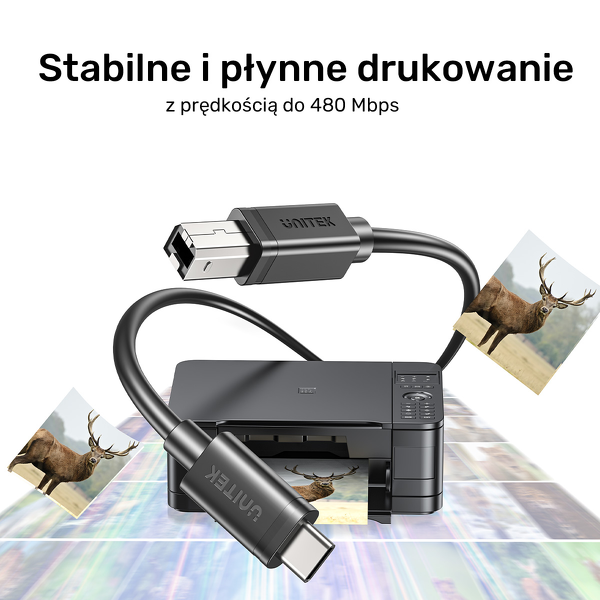 810f8e274c15d85866814140e4e67305.png