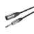 pol_pl_Kabel-mikrofonowy-DMXJ250L15-670_6.png