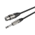 pol_pl_Kabel-mikrofonowy-DMXJ210L5-218_1.png