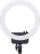800q-01_111980.png