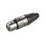 pol_pl_Kabel-mikrofonowy-DMXJ210L1-922_4.jpg