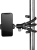 800q-06_117763.png