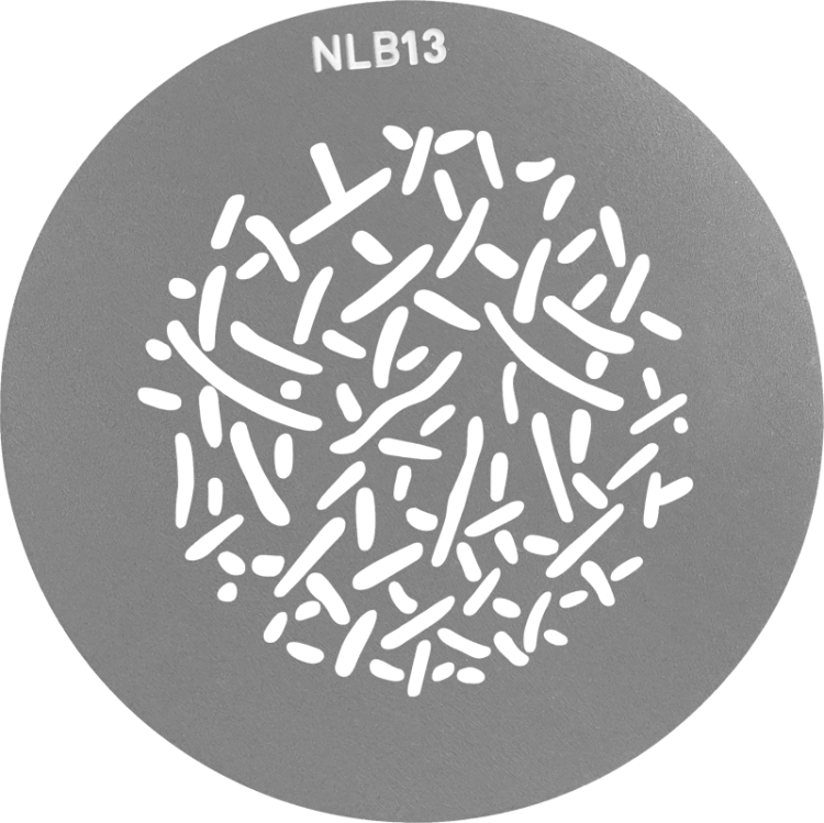 800q-04_117969.png