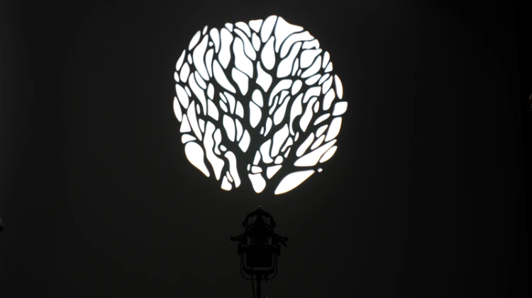 800q-09_117967.png