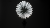 800q-08_117967.png