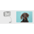 bbf86a342e7a9e565feeedf89bcd4d73.png